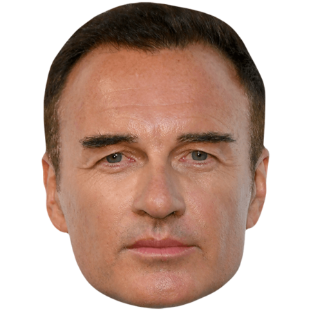 Julian McMahon (Short Hair) Big Head