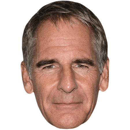 Scott Bakula (Grey Hair) Big Head