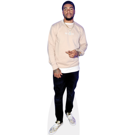 Desean Jackson (Casual) Cardboard Cutout