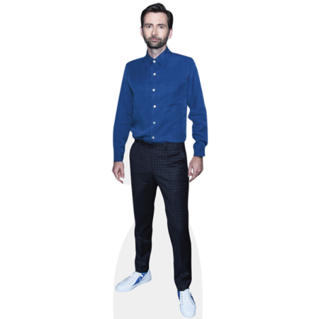 David Tennant (Blue Suit) Cardboard Cutout