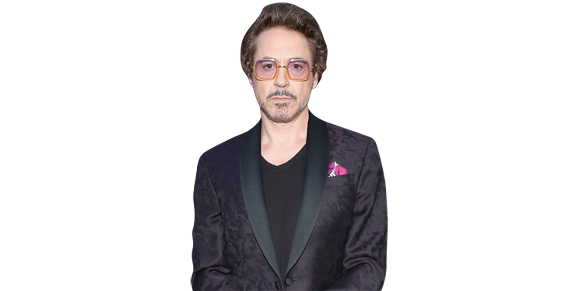Robert Downey Jr Dark Suit Half Body Buddy Celebrity Cutouts 