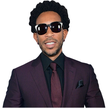 Ludacris (Purple Suit) Half Body Buddy