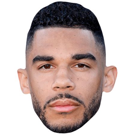 Evander Kane (Beard) Mask