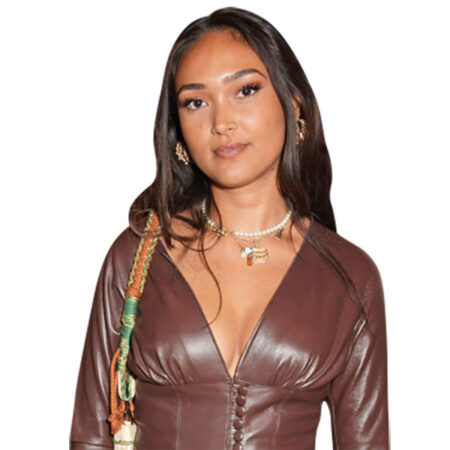 Joy Crookes (Brown Dress) Half Body Buddy