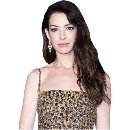 Anne Hathaway (Sparkly) Half Body Buddy