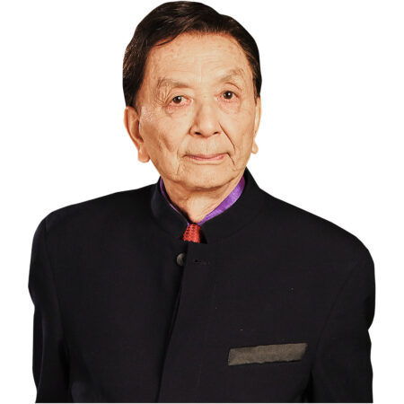 James Hong (Black Outfit) Half Body Buddy