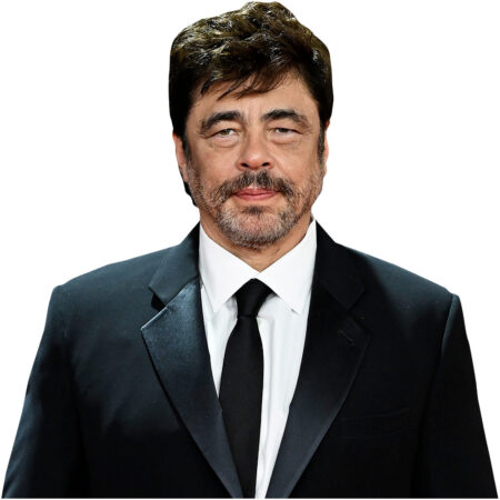 Benicio del Toro (Suit) Half Body Buddy