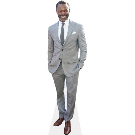 Sean Patrick Thomas (Grey Suit) Cardboard Cutout