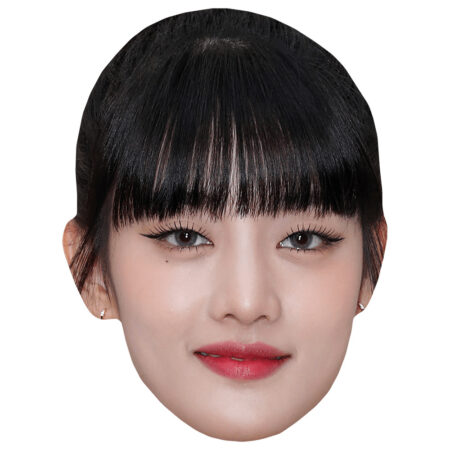 Nicha Yontararak Fringe Big Head Celebrity Cutouts